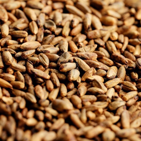 Black Forest Rye Malt (Gladfield)